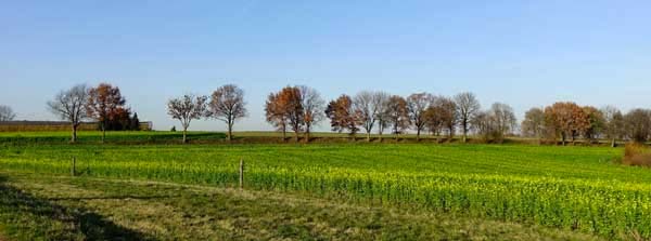 Mindfulness Hilversum hilversum