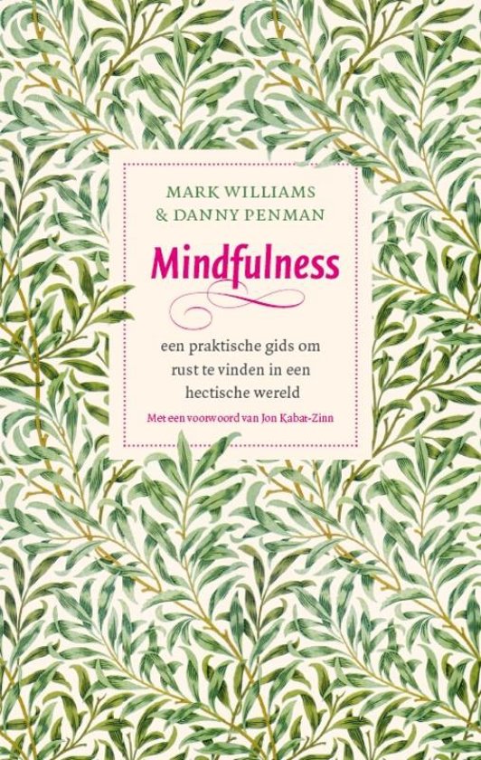 Mark Williams  Mindfulness -  Een praktische gids
