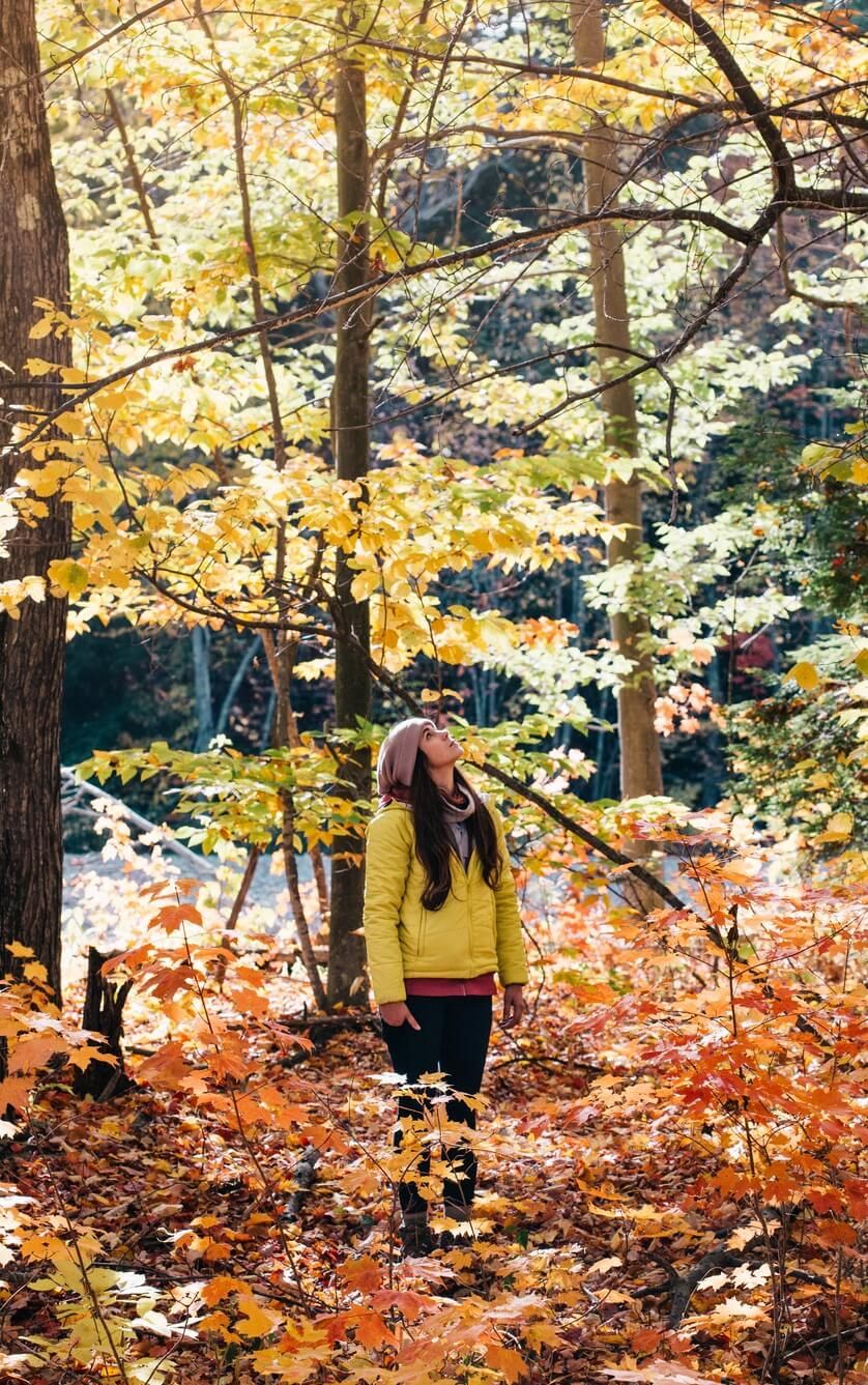 Mindfulness in de natuur. Ervaar de Japanse mindfulness trend van het bosbaden: Shinrin Yoku 